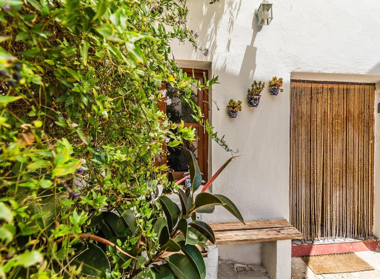 Casa Mundo - 16Th Century Traditional White Village House With Pool Pinos del Valle Exterior foto